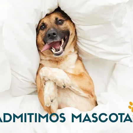 Appartement 3000 Barreiros